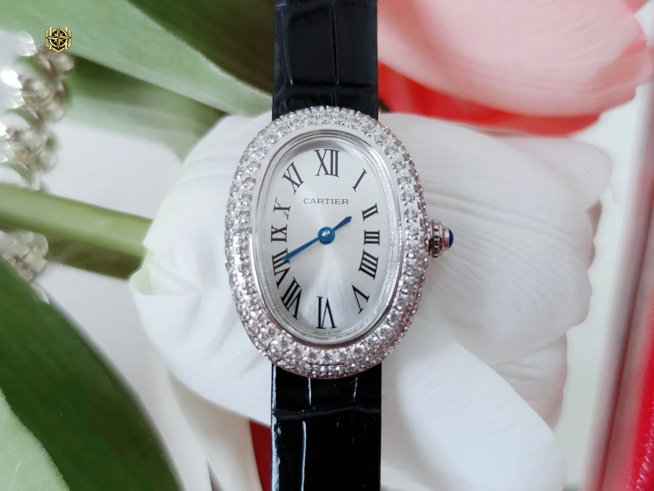 LOSHIFY Premium Timepiece